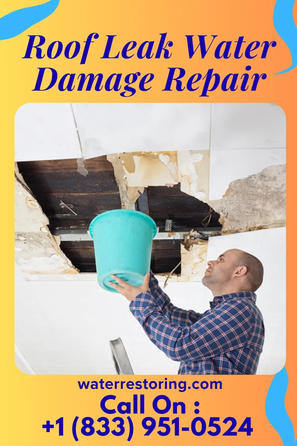 Roof Leak Water Damage Repair in Cherry Tree, OK